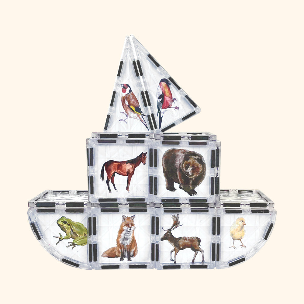 Magnetbaukasten COLORMAG CLEAR