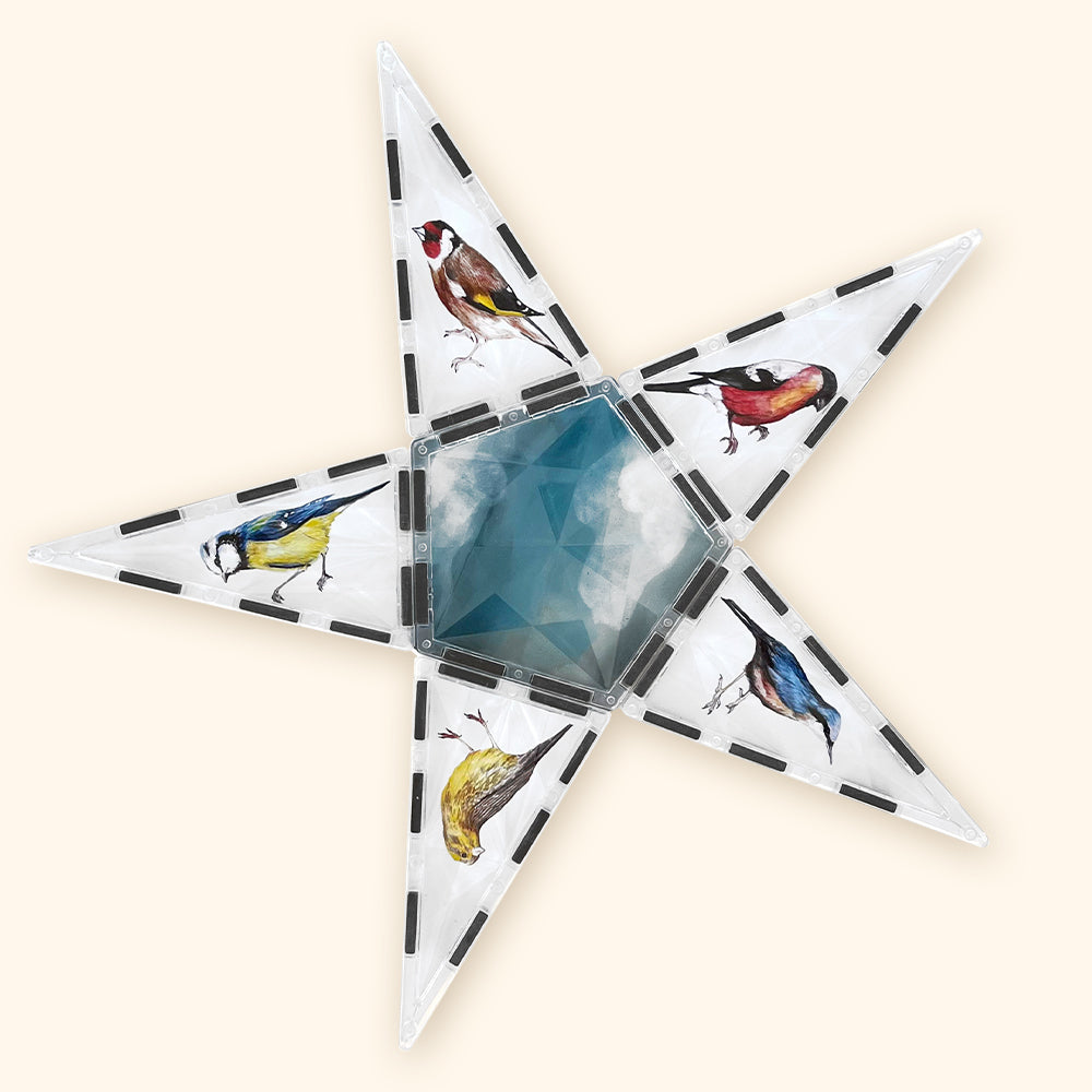 Magnetbaukasten COLORMAG CLEAR