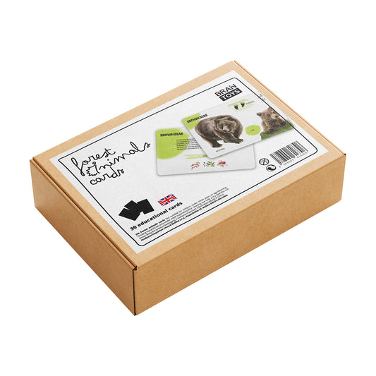 Lernkartenset: Waldtiere