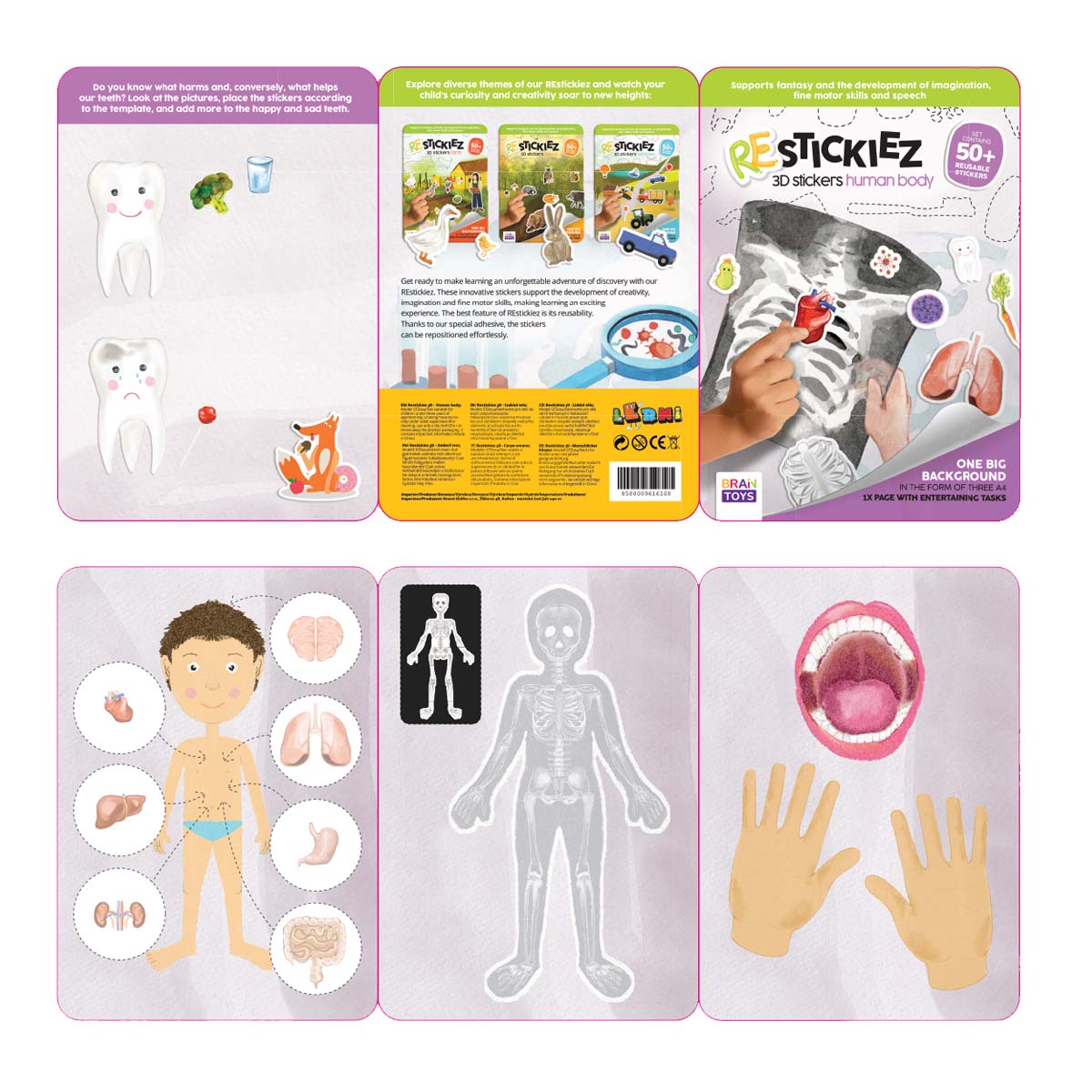 3D REstickiez - Menschlicher Körper