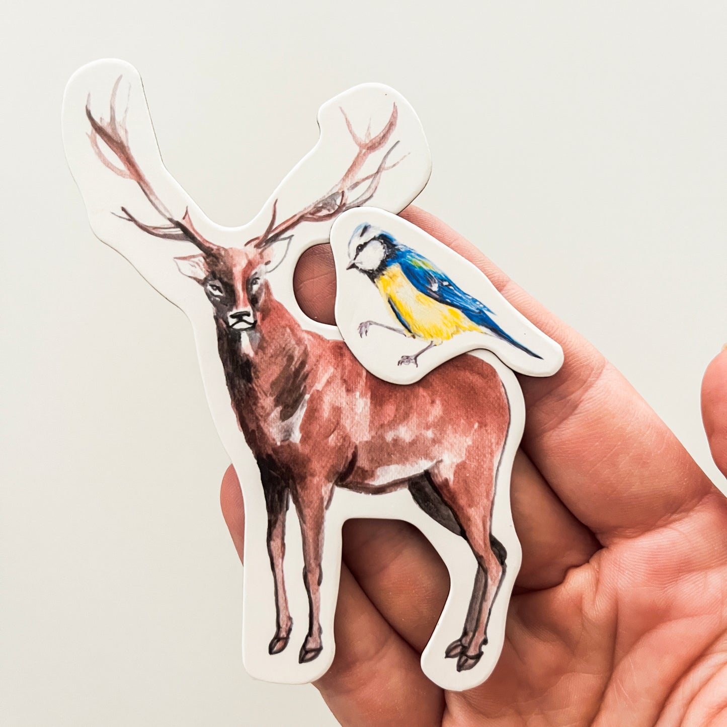 Magbook - Magnetisches Buch - Tiere und Natur