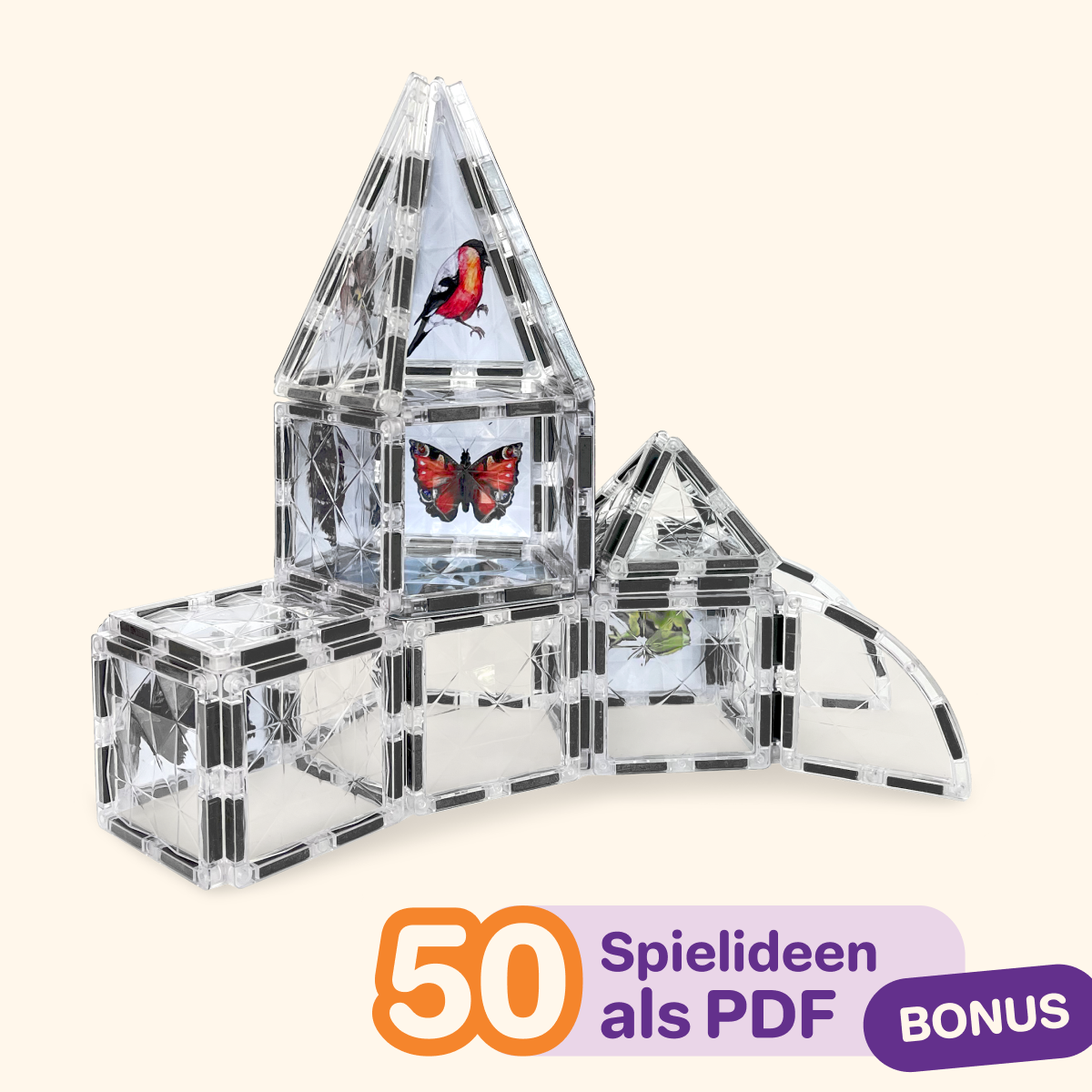 Magnetbaukasten COLORMAG CLEAR