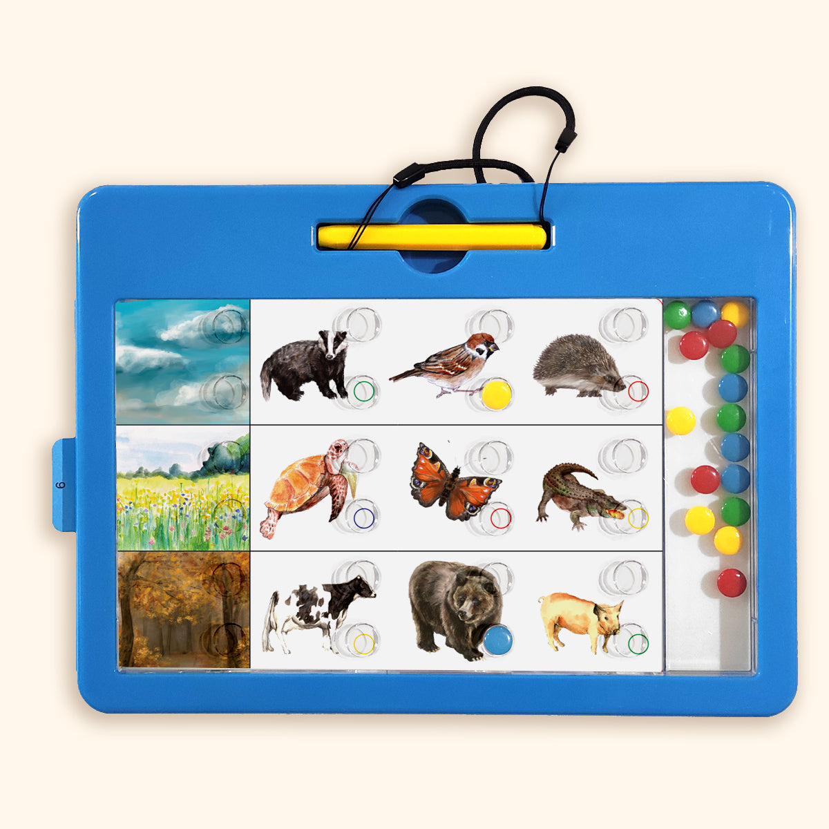 LOGIDOTS-Karten - Tiere